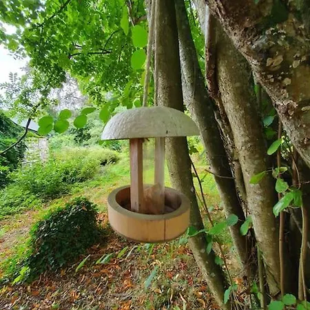 Gite Du Hetre Pourpre Clécy Esterno foto